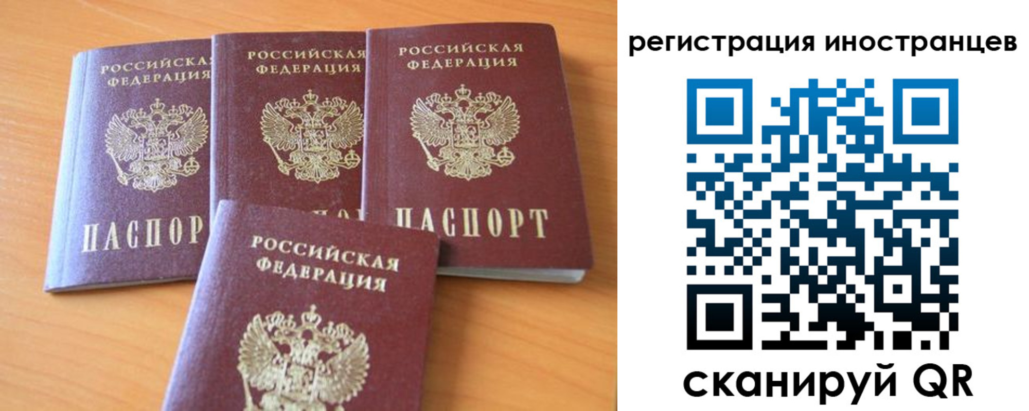 временная регистрация гарантия в Камчатской области