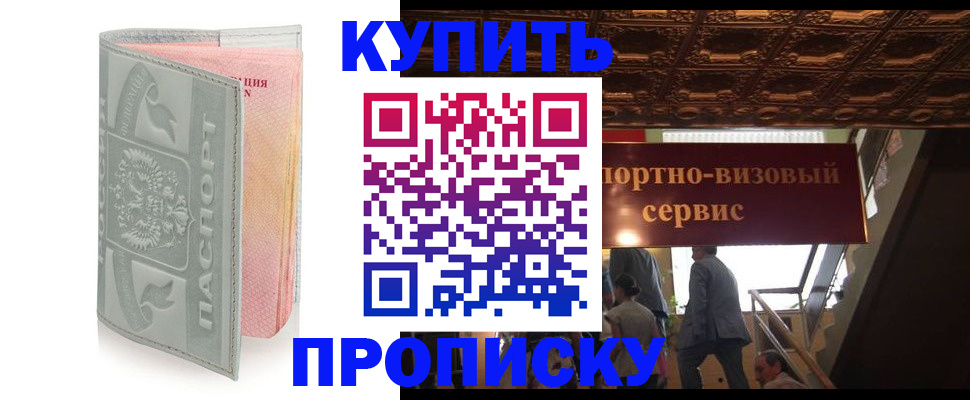 прописка поиск в Камчатской области